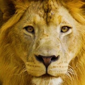 Meet your Posher, Cathy